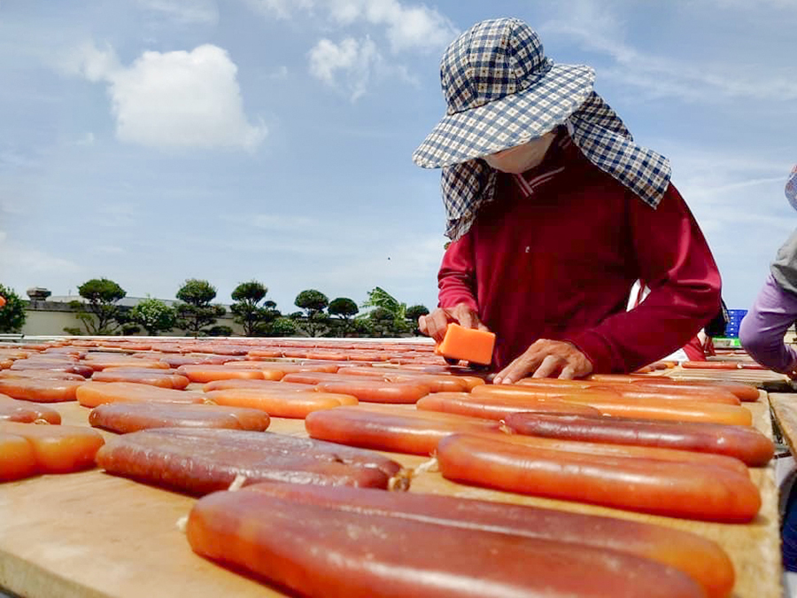 口湖有得天獨厚的飼養烏魚環境，被稱作「烏金的故鄉」(圖/金湖休閒農業發展協會)